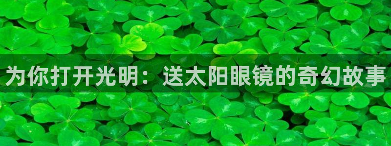 新宝5娱乐代理