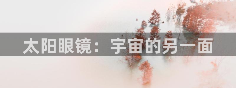 新宝5代理