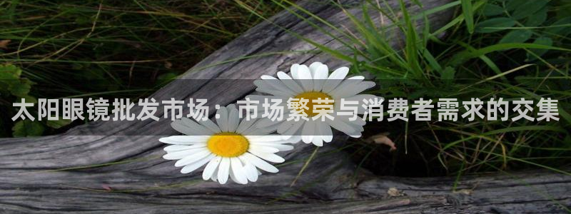 新宝5安卓版