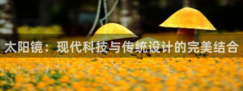 有人知道新宝5么