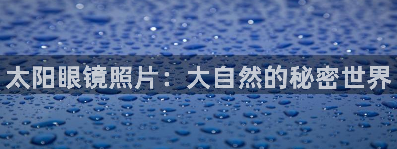 新宝堂新会陈皮5年