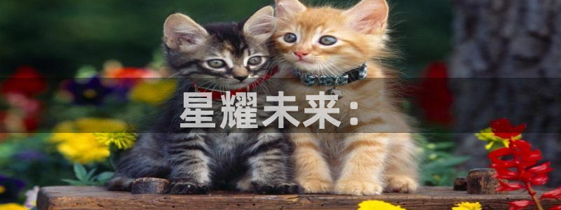 新宝股东王听2 5 5