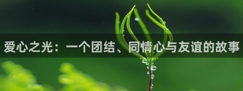 新宝5测试