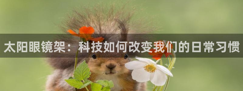 新宝5现在还能玩吗