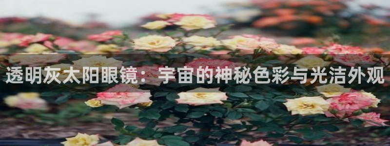 新宝h2O5O5O
