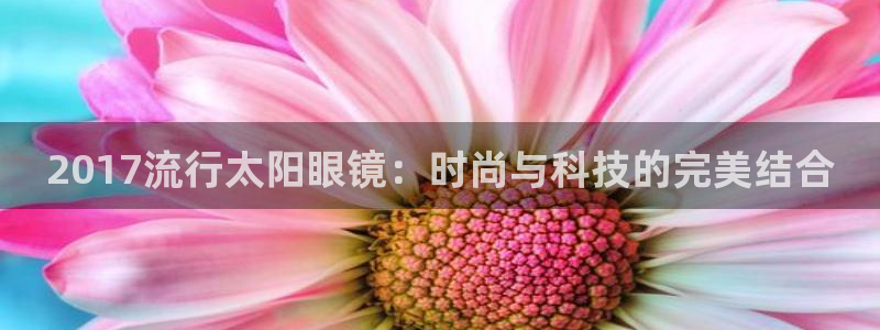 新宝5招商