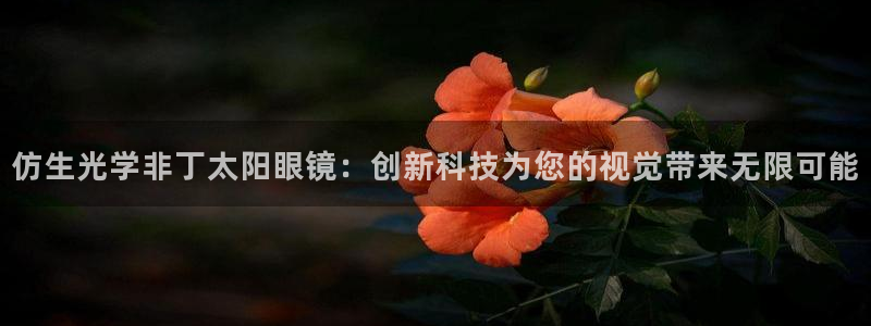 新宝5娱乐平台
