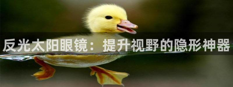 新宝5娱乐多