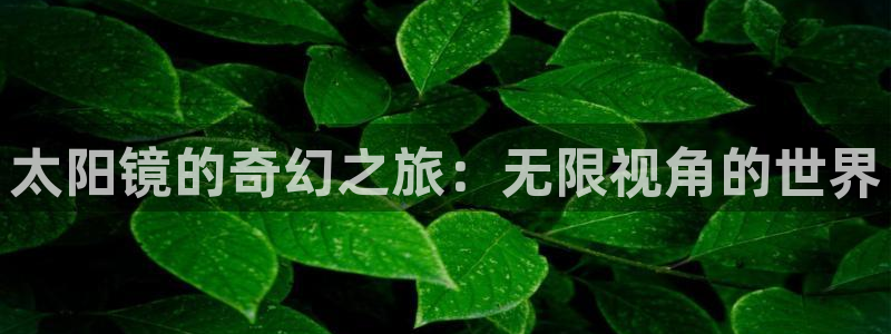 新宝5黑彩